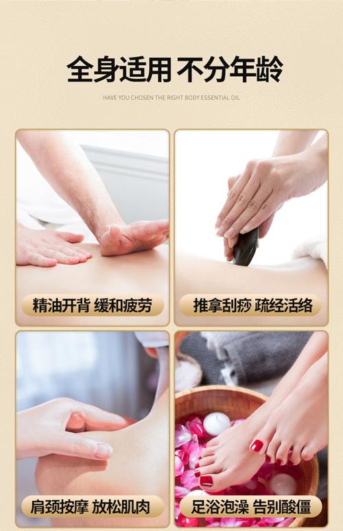 欧美熟妇骚的相关介绍