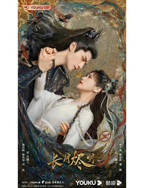 下载视频app的相关介绍