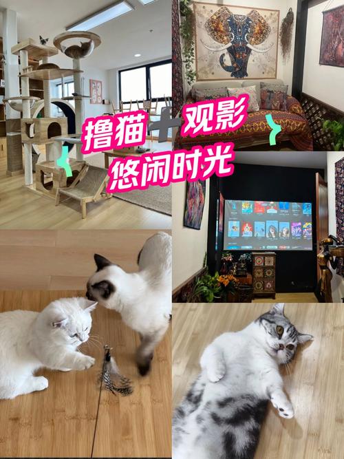 亚洲少妇32p的相关介绍